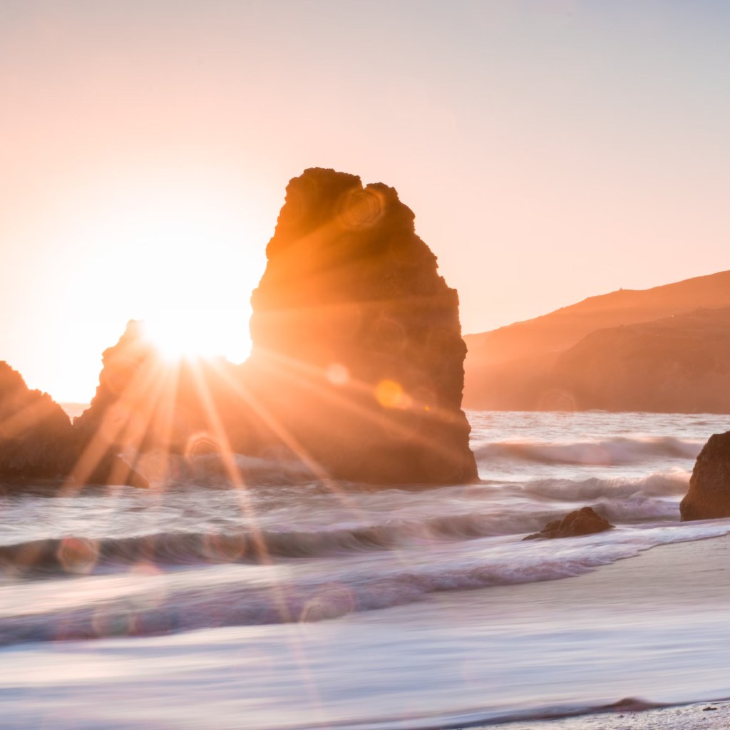 Resilience Across Communities