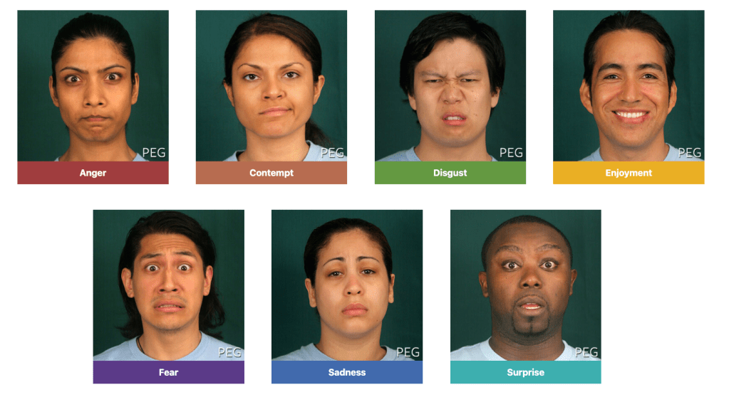 Beyond Mad, Happy, and Sad: Exploring How You Feel